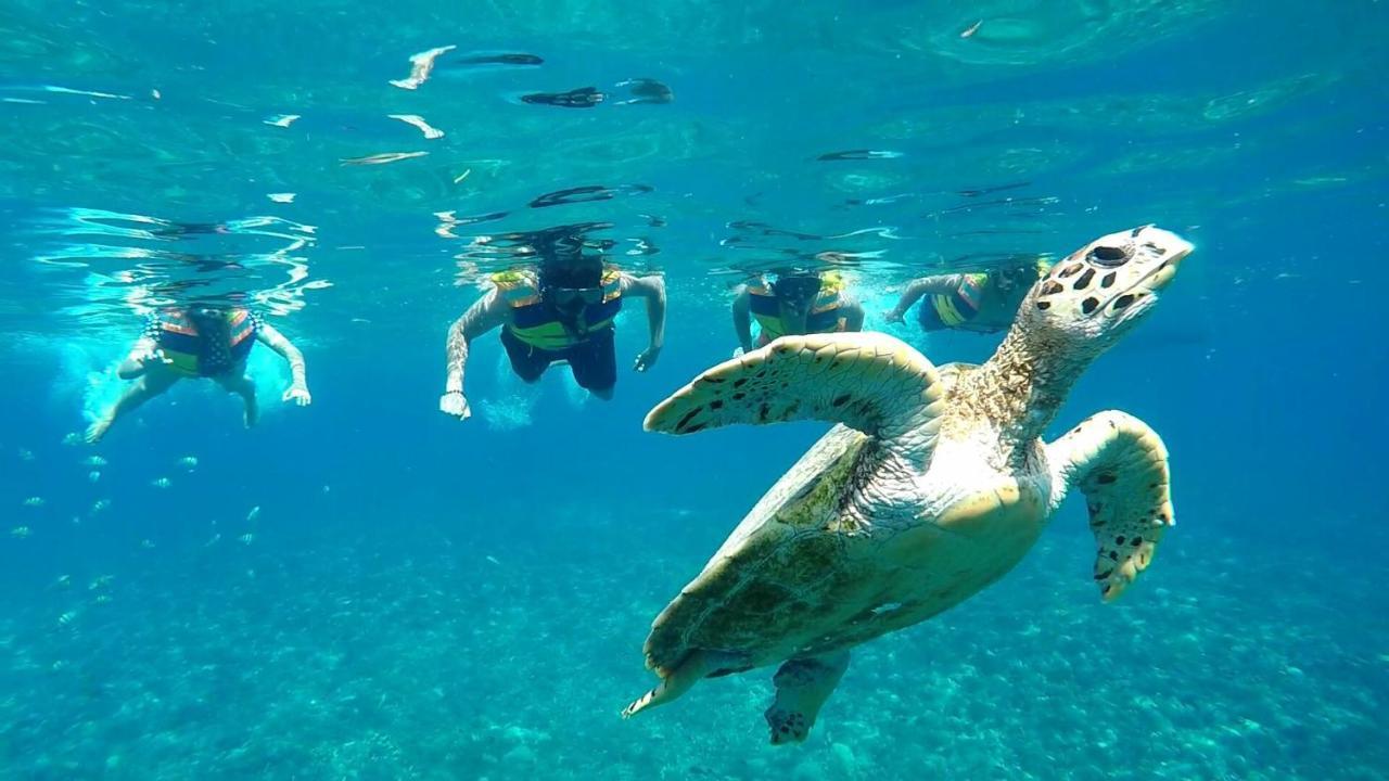 Gili Meno Mojo Beach Resort Εξωτερικό φωτογραφία